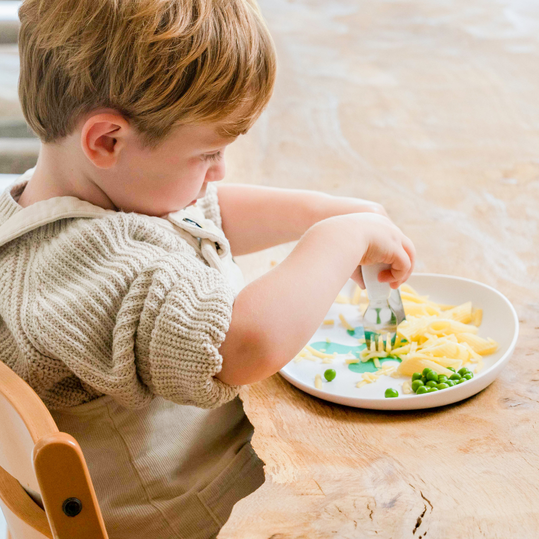 Doddl Teller & 2-in-1 Saugnapf-Paket